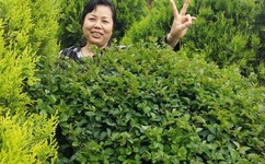 真人试爱视频120分钟